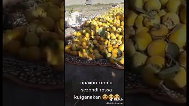 Севинч Мунинова 2021 смотреть онлайн