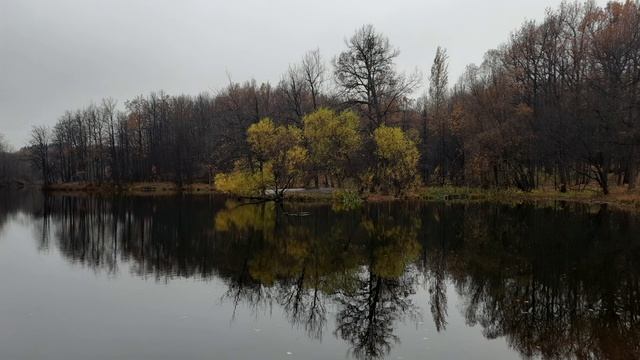 У Природы, все состояния хороши. Жизненная зарисовка (2024) смотреть онлайн