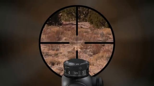 VX-3 CDS Leupold Scopes смотреть онлайн