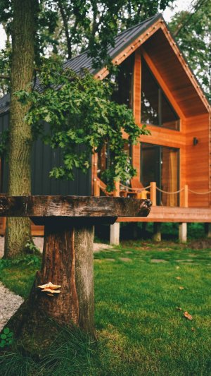 Дуб и море. Видео обзор участка и дома. Лето 2024г.