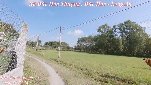 Đất Thổ Cư Cần Bán l 6.5 x 32 . 209m² l Rẻ Như Chưa Từng Được Rẻ l Đức Hòa - Long An смотреть онлайн