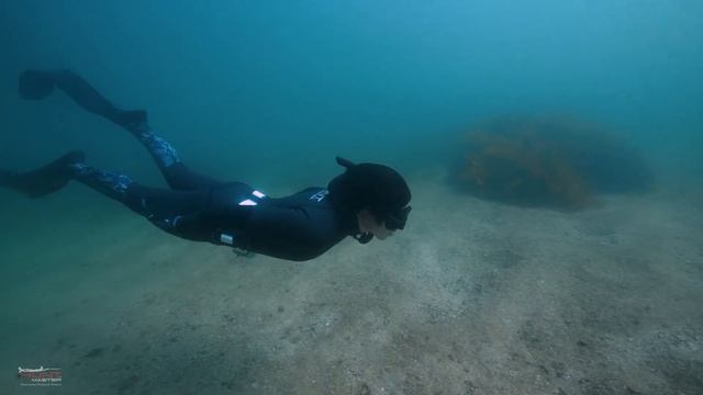 The Benefits Of Smooth Skin Wetsuits | Our All New SUBLIME Wetsuit