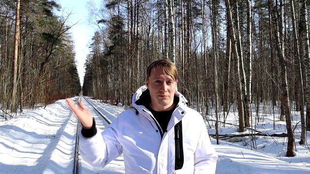 Строить дом из сырого или сухого профилированного бруса? смотреть онлайн