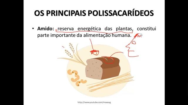 Os Glicídios: funções, tipos e importância. смотреть онлайн
