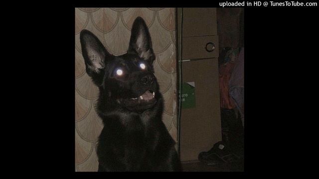 NAO TEM TEMPO смотреть онлайн