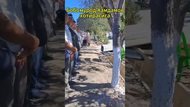 Бобомурод Хамдамов хотирасига. #подписаться #2024 #видео смотреть онлайн