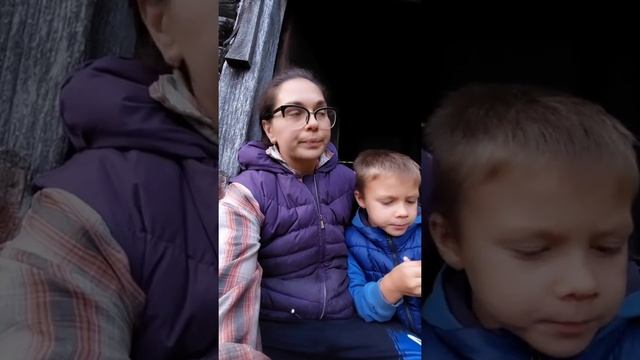 Первый месяц с Джерси из Дании. Часть 2. смотреть онлайн