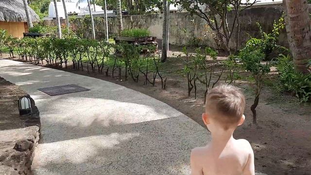 Бора Бора смотреть онлайн