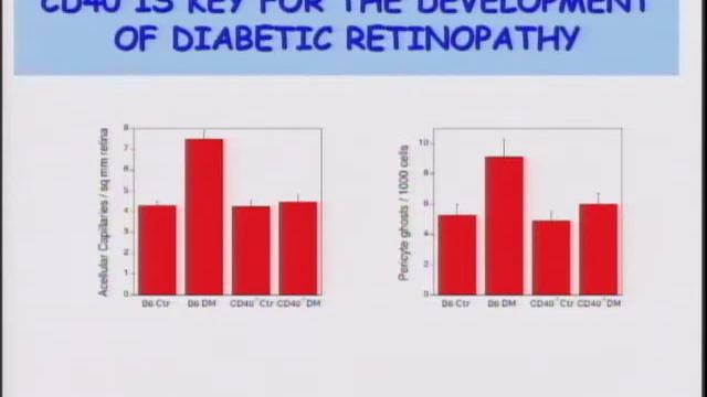 CD40 is Central for Development of Diabetic Retinopathy смотреть онлайн