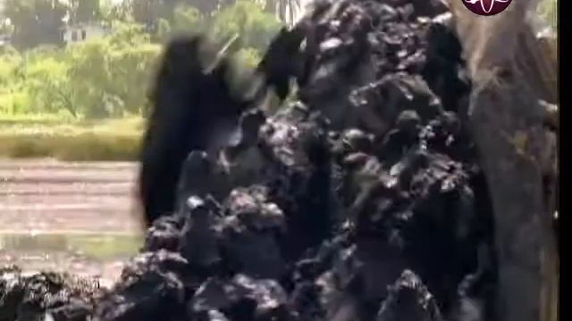 გუდრონი, ასფალტი - Гудрон,Асфальт смотреть онлайн