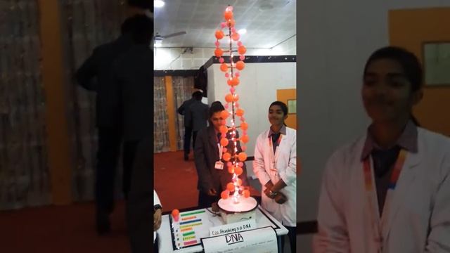 Working DNA Model смотреть онлайн