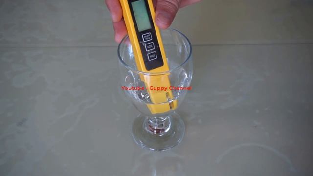Guppy Fish Care – Best TDS for Guppies смотреть онлайн