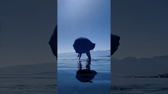 Leda Alexopoulou Keep Walking 2022 short video 1 смотреть онлайн