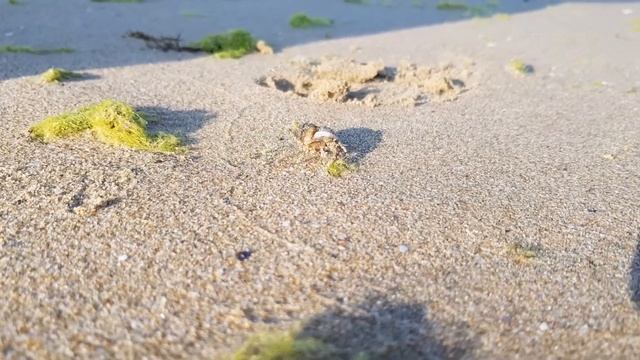 Sonnenstrand Солнечный берег Болгария смотреть онлайн