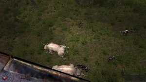 ОП-2.2 квест Приманка, капсула Снежная.