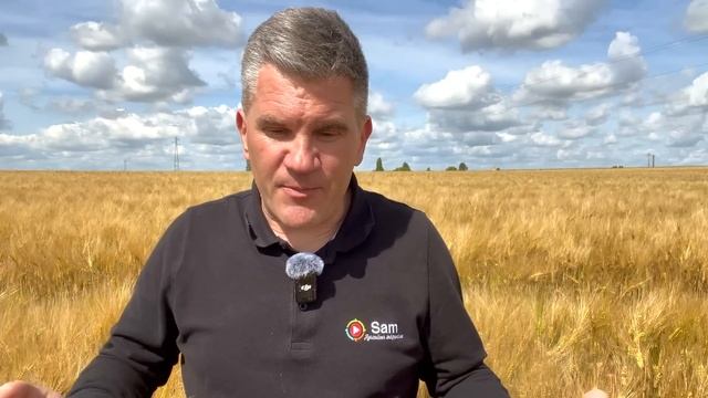 Bilan de la météo sur la moisson 2024. Quels impacts sur les sols, les plantes et le désherbage ? смотреть онлайн