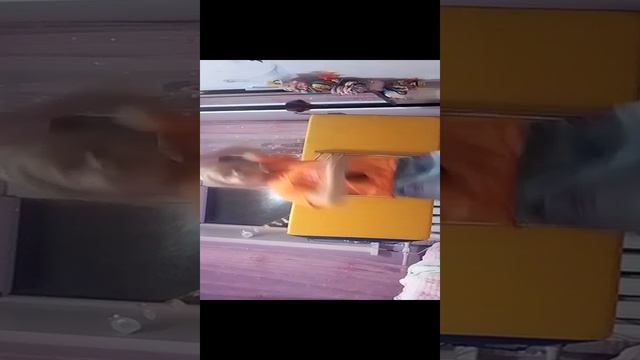 хахахахахаха этасофсемнето смотреть онлайн
