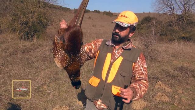 Armsan A620 20 cal. ile Sülün ve Çulluk Avı 3.Bölüm смотреть онлайн