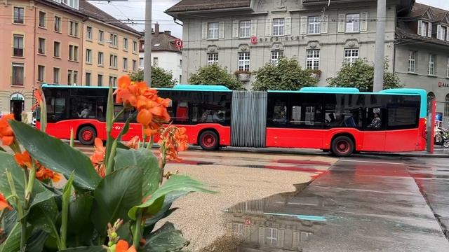 Лимонное дерево в Швейцарии! смотреть онлайн