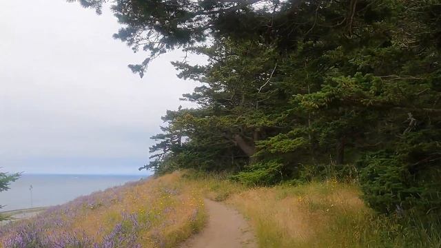 Hike to Ebey's Landing Trail | Whidbey Island | Puget Sound смотреть онлайн