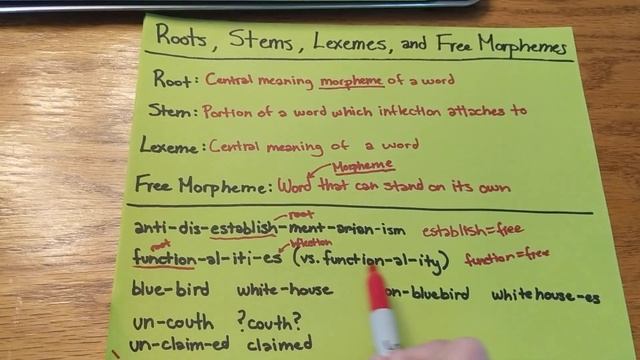 Roots, Stems, Lexemes, and Free Morphemes Mini-Lesson смотреть онлайн