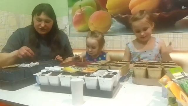 Посадка арбузов с малышами Ариной и Дариной на рассаду 5.04.22 смотреть онлайн