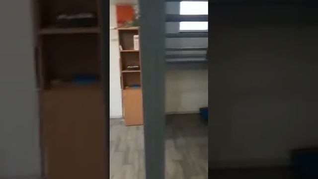Тайцы 220 м смотреть онлайн
