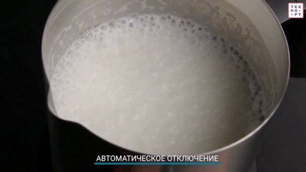 Капучинатор Zigmund & Shtain ZMF 451