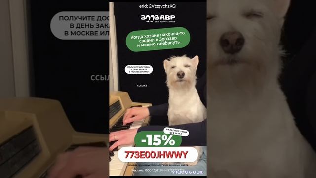 Зоозавр — интернет-магазин зоотоваров на базе всем известного магазина 