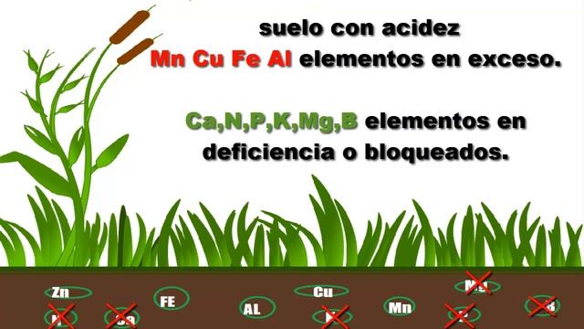 El pH de los suelos agrícolas смотреть онлайн