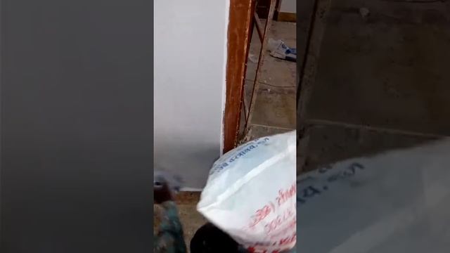 Desi Putty Application & leveling смотреть онлайн