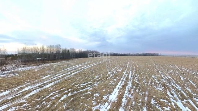 3927796 смотреть онлайн