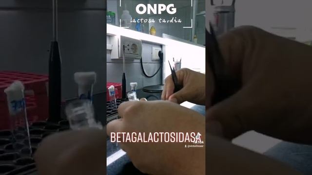 prueba de betalactosidasa, prueba para las enterobacterias lactosa tardia смотреть онлайн