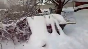 Снигиревка