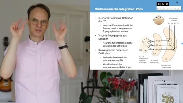 Vorlesung Biologische Psychologie S11_2 смотреть онлайн