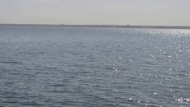 27.08.15-Камышин,утро... смотреть онлайн