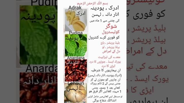 #Adrak #Pudina #Anardana #lehsun 4 chezon se #Sugar #Cholesterolj or bht si bimariyon ka fori ila смотреть онлайн