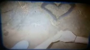 Camp Rock.Музыкальные каникулы. Воспоминания