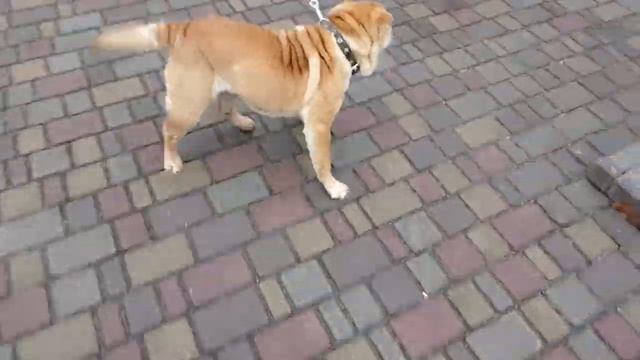 Я в шоці.Знадобилося всього 2 доби смотреть онлайн