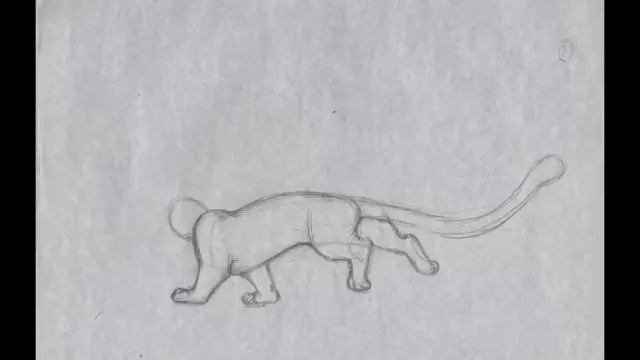 pencil test animation snow leopard смотреть онлайн