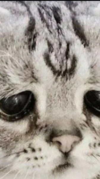 Я удалил YouTube смотреть онлайн