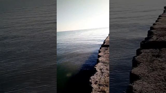1 января 2023 г. смотреть онлайн