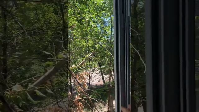 Небольшой, но очень уютный балкон с алюминиевым профилем😊 смотреть онлайн