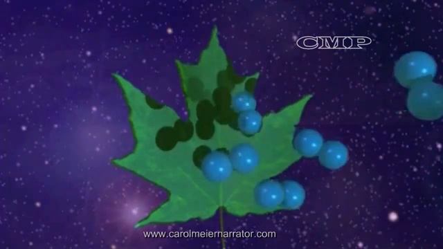 Mars Food - Narrated Documentary смотреть онлайн