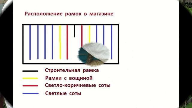 Контроль освоения первых магазинов смотреть онлайн