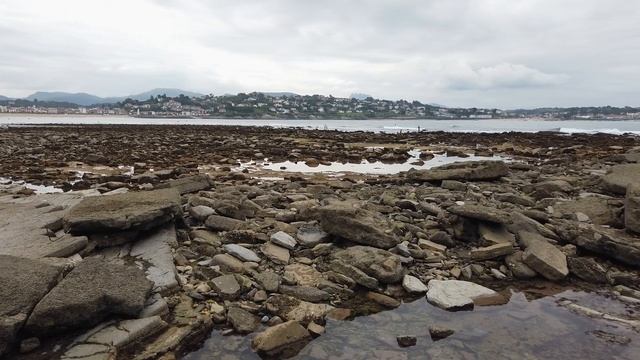 Balade sur l'estran à Saint Jean de Luz смотреть онлайн