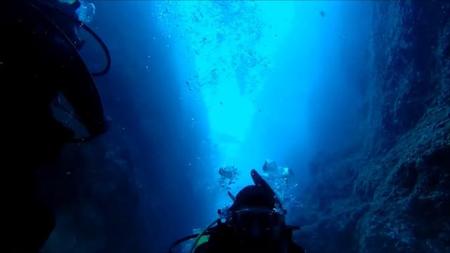 GoPro: Scuba Diving With Sea Lions in Cabo San Lucas смотреть онлайн