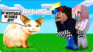 😆Я СТАЛА БУ ИСПУГАЛСЯ НЕ БОЙСЯ ДРУГ и ЗАТРОЛЛИЛА ДРУЗЕЙ в МАЙНКРАФТ! НУБИК ШЕДИ ЛЕСКА ТРОЛЛИНГ