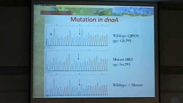Building Designing & Learning from Genomes 2 смотреть онлайн