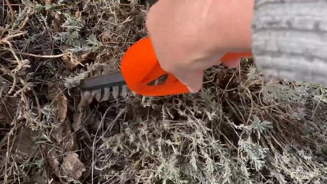 01.04.24. Надо поухаживать за растениями, вышедшими из-под снега. Перепаяли воду в кухню и прочее. смотреть онлайн